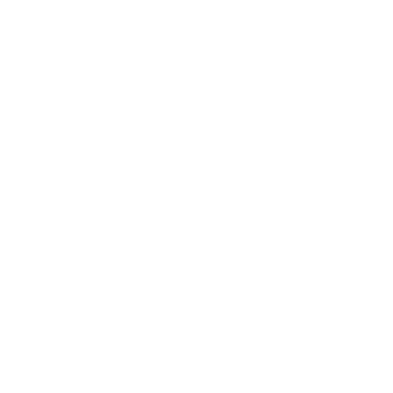 Puna Digital